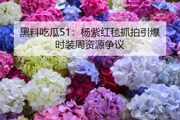 黑料吃瓜51：杨紫红毯抓拍引爆时装周资源争议